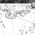 Hydra Constellation Art Print By Royal Astronomical Society Science 