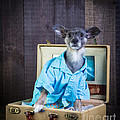 I Need A Vacation by Edward Fielding I Need A Vacation by Edward Fielding