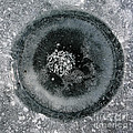 Ice fishing hole 9 Photograph by Steven Ralser Ice fishing hole 9 Photograph by Steven Ralser
