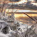 Ice Forms by Brian Fisher Ice Forms by Brian Fisher