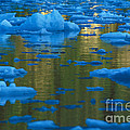 Icebergs, Leconte Bay, Alaska Photograph by Ron Sanford Icebergs, Leconte Bay, Alaska Photograph by Ron Sanford