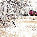 I'll Be Home For Christmas Photograph by Theresa Tahara I'll Be Home For Christmas Photograph by Theresa Tahara