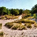 In The Dunes by Michelle Calkins In The Dunes by Michelle Calkins