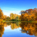 In The Stillness by Dominic Piperata In The Stillness by Dominic Piperata