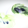 Incana abstract 2 by Paulina Roybal Incana abstract 2 by Paulina Roybal