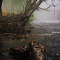 Indeed it was a Mystical Place Photograph by Blair Stuart Indeed it was a Mystical Place Photograph by Blair Stuart