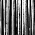 Industrial Lines by Robert Hayton Industrial Lines by Robert Hayton