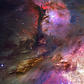 Inside Orion by Ricky Barnard Inside Orion by Ricky Barnard