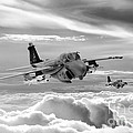 Intruder Digital Art by Airpower Art Intruder Digital Art by Airpower Art