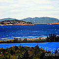 Iona formerly Rams Islands by Barbara Griffin Iona formerly Rams Islands by Barbara Griffin