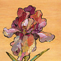 Iris II - Series II Painting by Shadia Derbyshire Iris II - Series II Painting by Shadia Derbyshire