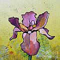 Iris II Painting by Shadia Derbyshire Iris II Painting by Shadia Derbyshire