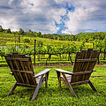 It's Happy Hour by Debra and Dave Vanderlaan It's Happy Hour by Debra and Dave Vanderlaan