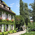 Ivy covered house in Strasbourg France Photograph by Amanda Mohler Ivy covered house in Strasbourg France Photograph by Amanda Mohler