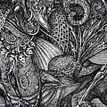 Jabberwocky by Otto Rapp Jabberwocky by Otto Rapp