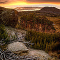 Jagungal Wilderness Photograph by Robert Charity Jagungal Wilderness Photograph by Robert Charity