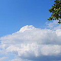 Jamaica Clouds by Debbie Levene Jamaica Clouds by Debbie Levene