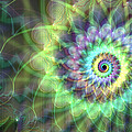 Jellyfish Spiral with Vertical Streak  by Ann Stretton