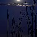 July 2014 Super Moon Photograph by Raymond Salani III July 2014 Super Moon Photograph by Raymond Salani III
