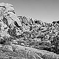 Jumbo Rocks BW Photograph by Kelley King