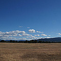 June Near Central Point In Sourthern Oregon by Mick Anderson June Near Central Point In Sourthern Oregon by Mick Anderson