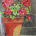 Basking In The Sun by Mary Ellen Mueller Legault Basking In The Sun by Mary Ellen Mueller Legault