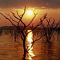 Kariba Sunset by Jeremy Hayden Kariba Sunset by Jeremy Hayden