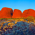 Central Australia by Bill Robinson Central Australia by Bill Robinson