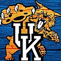 Kentucky Wildcats Barn Door by Dan Sproul Kentucky Wildcats Barn Door by Dan Sproul