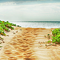 Kihei Maui Beach Path Photograph by Theresa Tahara Kihei Maui Beach Path Photograph by Theresa Tahara