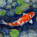 Koi Pond Painting by Hailey E Herrera Koi Pond Painting by Hailey E Herrera