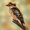 Kookaburra - Australian Bird Painting by Michelle Wrighton