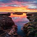 La Jolla California Reflections Photograph by Larry Marshall La Jolla California Reflections Photograph by Larry Marshall