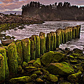 La Push Photograph by Robert Charity La Push Photograph by Robert Charity