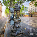 La Rambla Fountain Photograph by Yhun Suarez La Rambla Fountain Photograph by Yhun Suarez