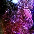 Lady Universe 2 Digital Art by Lilia D Lady Universe 2 Digital Art by Lilia D