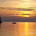 Lake Of Gold by Ann Horn Lake Of Gold by Ann Horn