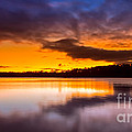 Lake Sidney Lanier Photograph by Bernd Laeschke Lake Sidney Lanier Photograph by Bernd Laeschke