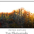 Landscape 3 Photograph by Peter Cutler