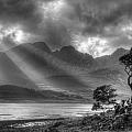 Lonely tree. Landscape of the Scottish Highlands in Scotland Photograph by Michalakis Ppalis Lonely tree. Landscape of the Scottish Highlands in Scotland Photograph by Michalakis Ppalis