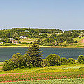 Landscape panorama of Prince Edward Island Photograph by Elena Elisseeva Landscape panorama of Prince Edward Island Photograph by Elena Elisseeva