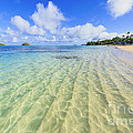 Lanikai Beach Mid Day Ripples in the Sand by Aloha Art