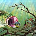 Large Mouth Bass and Clueless Fish Poster by Sonya Barnes - Fine Art America