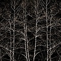 Last Stand by Bob Coates