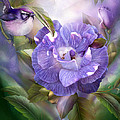 Lavender Rose Mixed Media by Carol Cavalaris Lavender Rose Mixed Media by Carol Cavalaris
