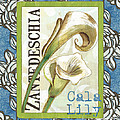 Lazy Daisy Lily 1 by Debbie DeWitt Lazy Daisy Lily 1 by Debbie DeWitt