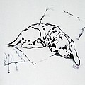 Lazy Day by Jacki McGovern Lazy Day by Jacki McGovern