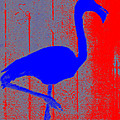 Le Flamant Digital Art by George Pedro Le Flamant Digital Art by George Pedro