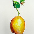 Left Hanging by Shannon Grissom Left Hanging by Shannon Grissom