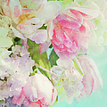 Les Fleurs Photograph by Theresa Tahara Les Fleurs Photograph by Theresa Tahara